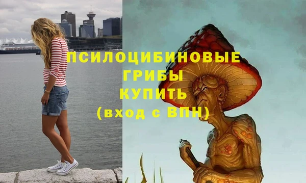 крисы Армянск